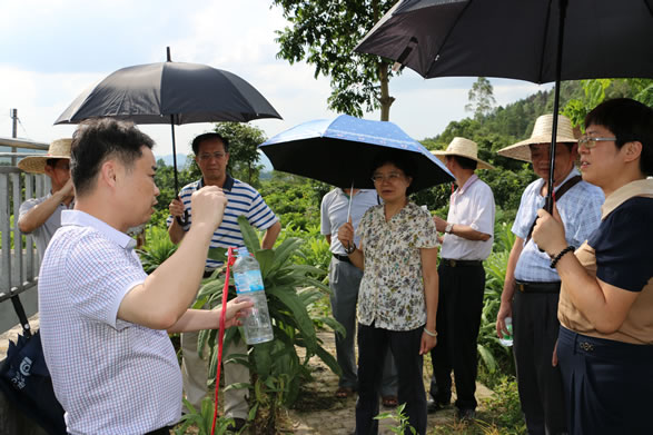 陈敏副厅长再次视察我司龙山塘农村生活污水治理工程